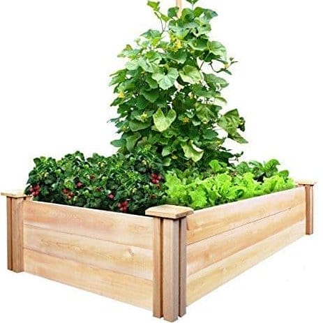 Raised Garden Bed