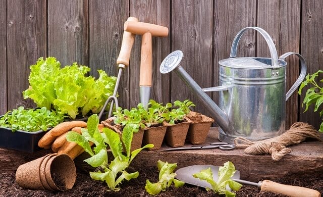 Garden Supplies
