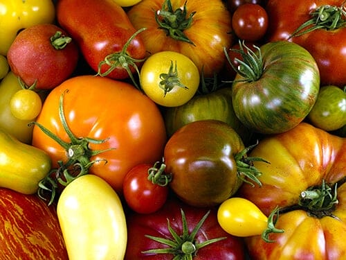 tomatoes