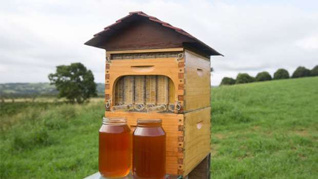beehive