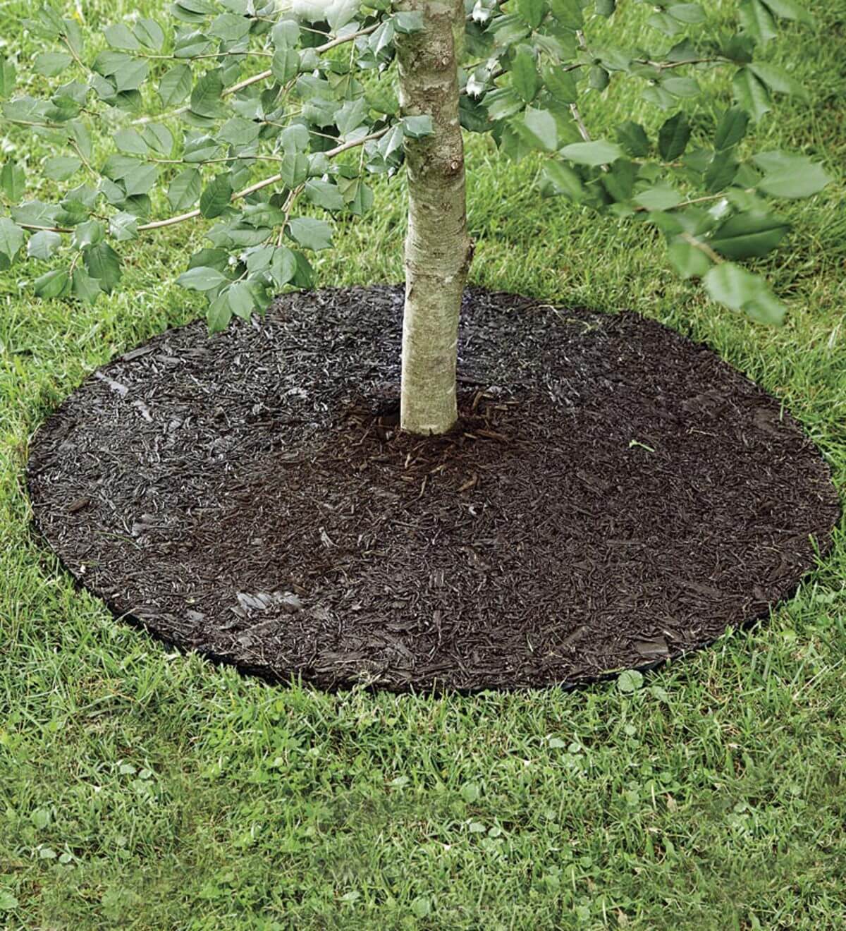 mulch
