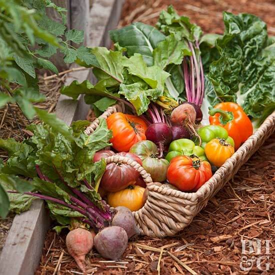 organic gardening
