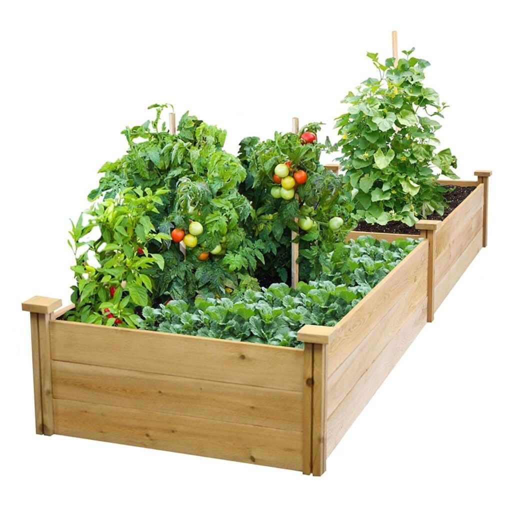 raised garden bed