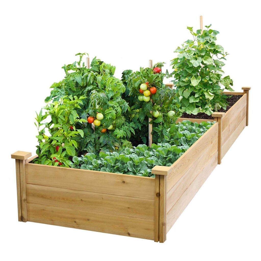 raised garden bed