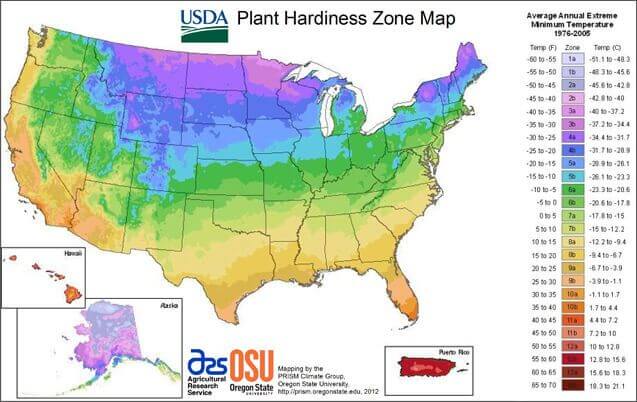 hardiness zone map for pruning