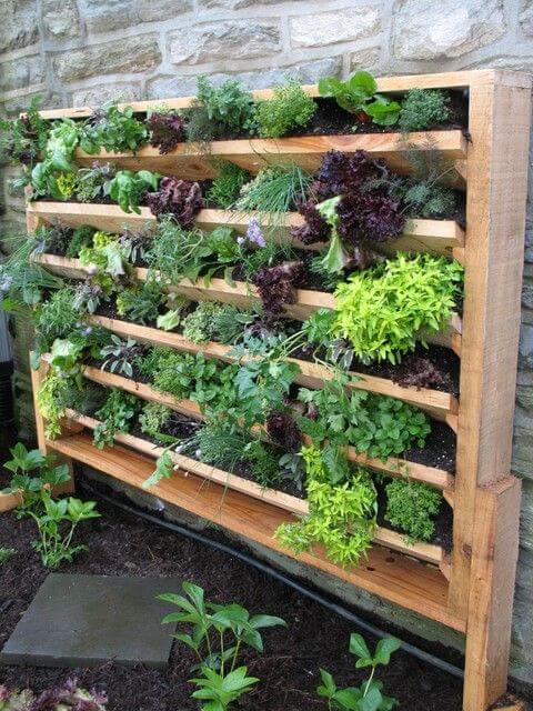 vertical gardening