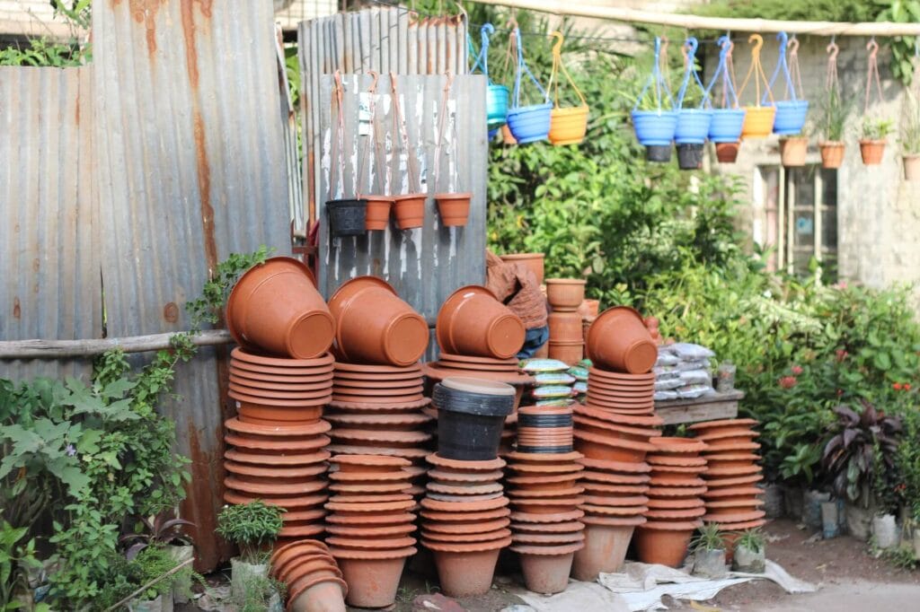 garden containers for avocados