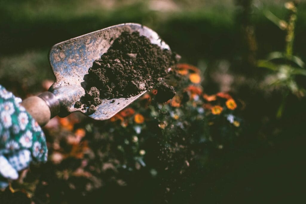 gardening tips