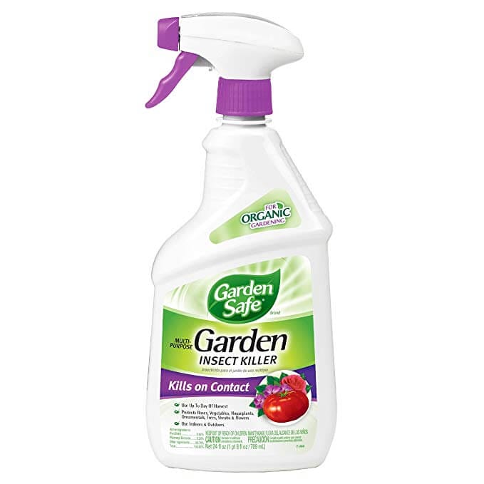 garden safe insect killer