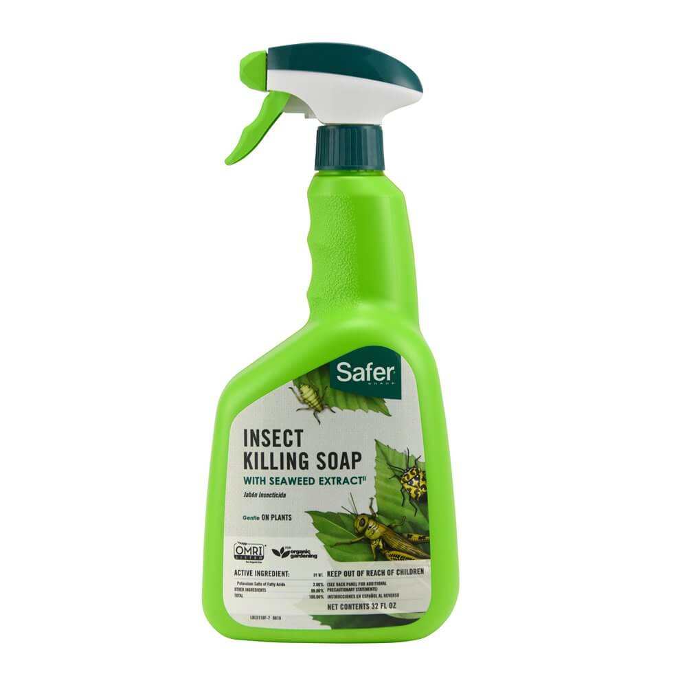 safer insect killing soap