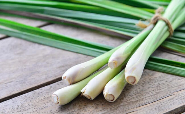 lemongrass