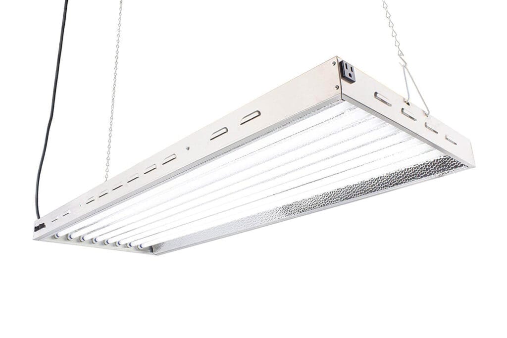 Durolux T5 Fluorescent Light