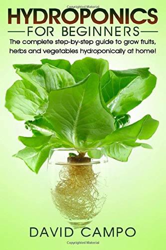 hydroponics for beginners