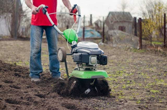 cultivating