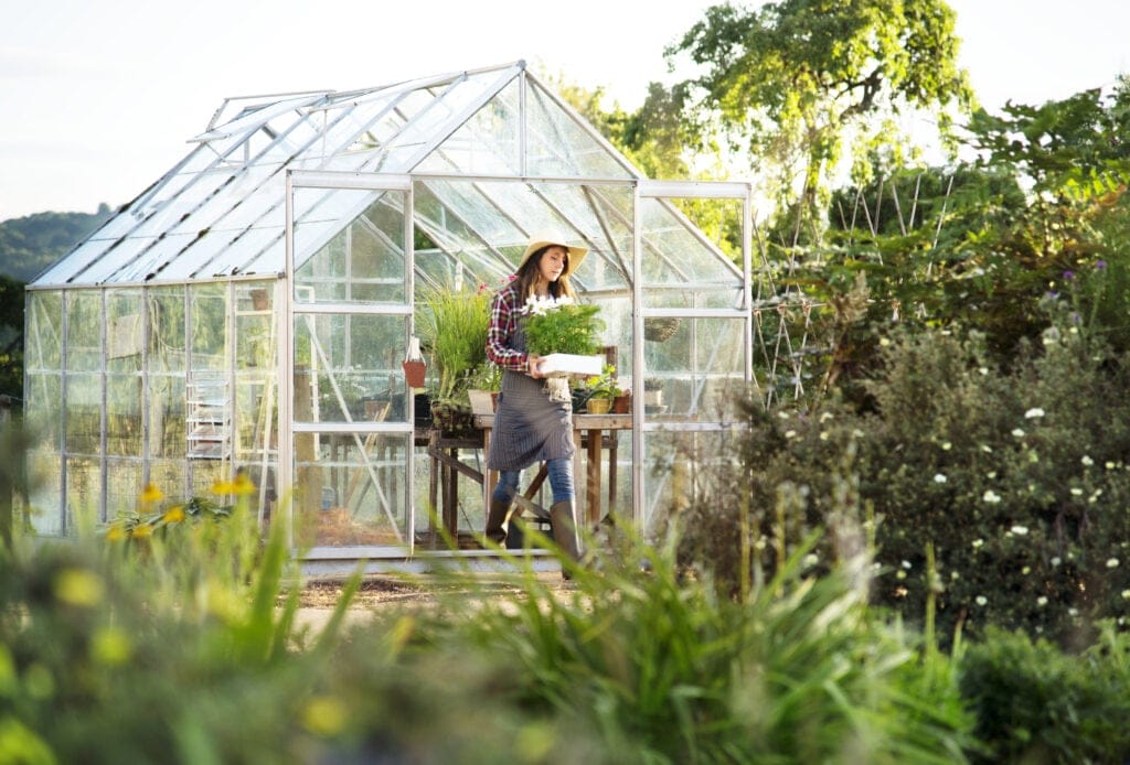 greenhouse 1