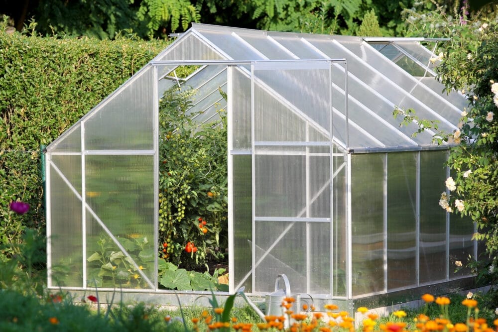 greenhouse 5