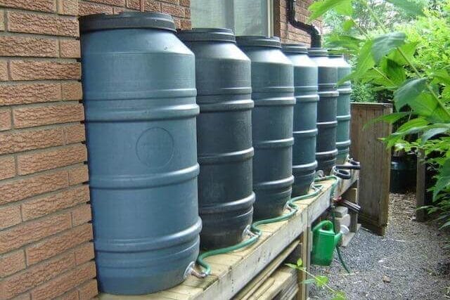 rain barrels by each other