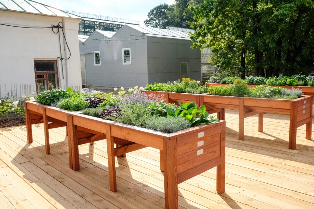 raised garden bed 3