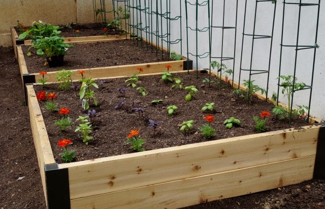 raised garden bed 4