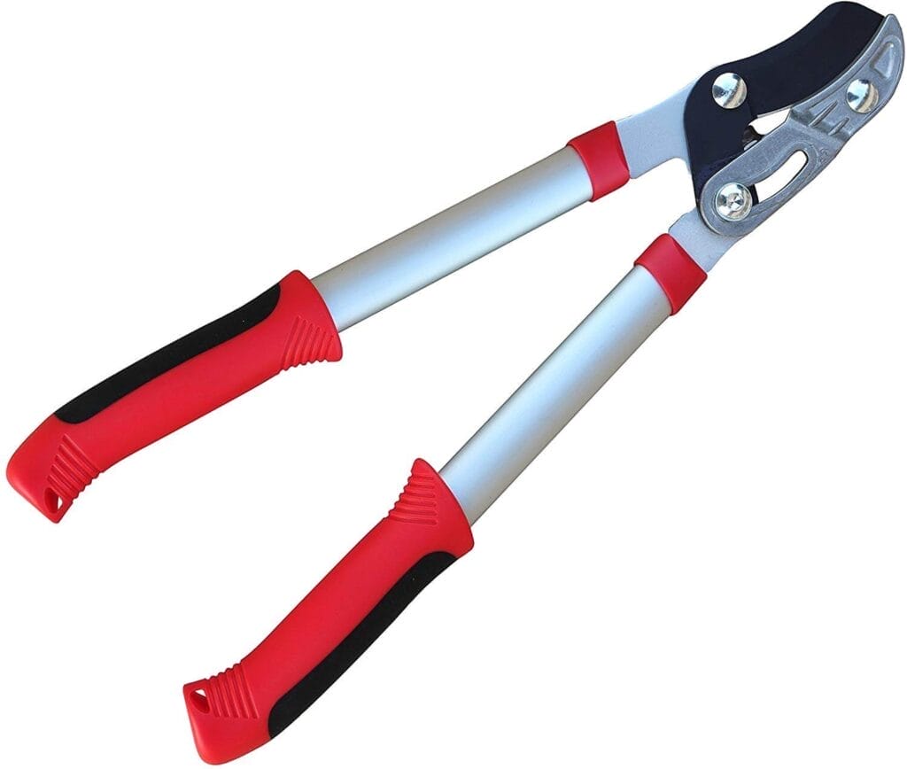 Tabor Tools GL19A Anvil Lopper