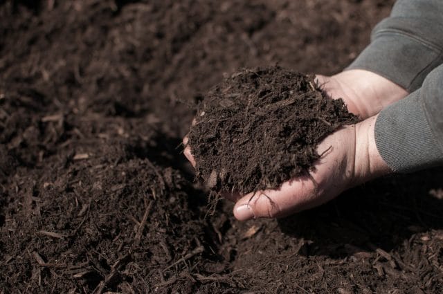 garden mulch 1
