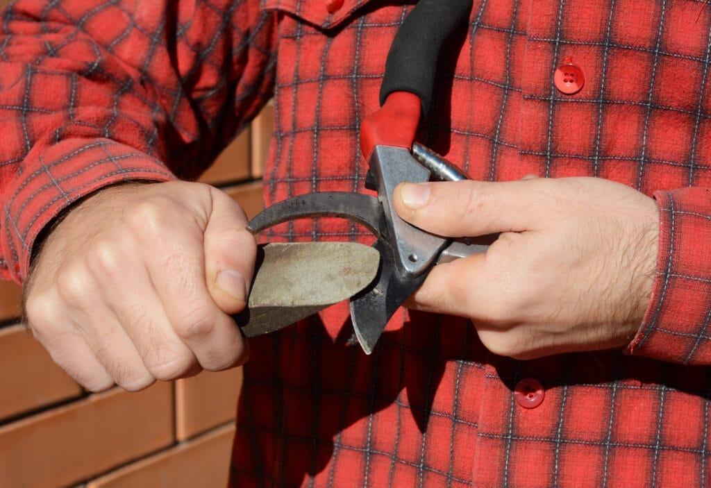 pruning shears maitenance