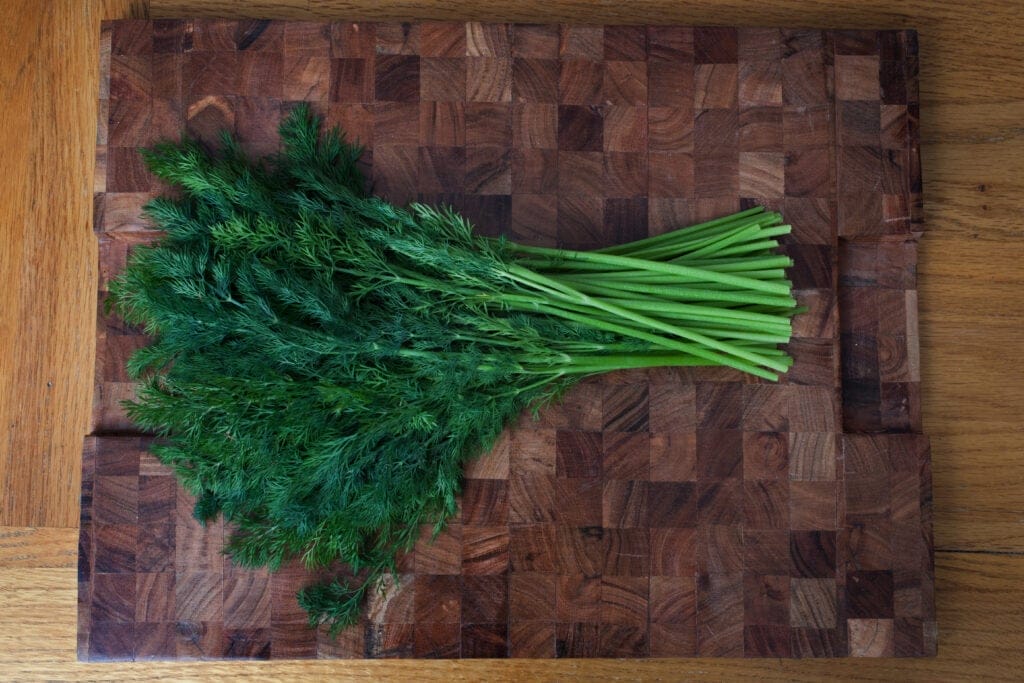 bouquet dill