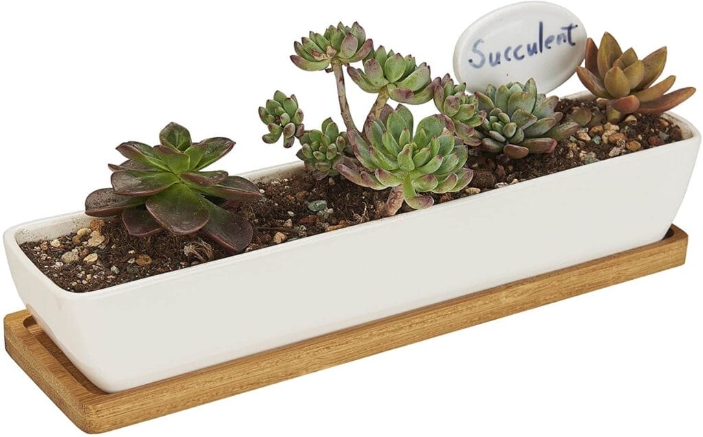 Flowerplus Indoor Window Boxq
