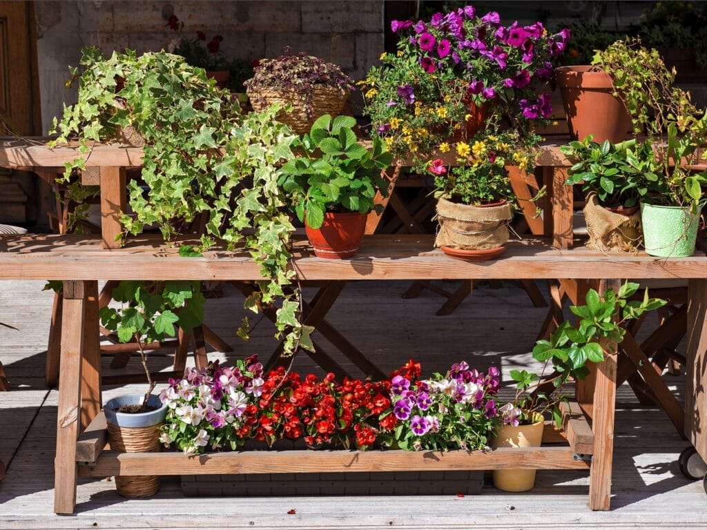 potting bench 2