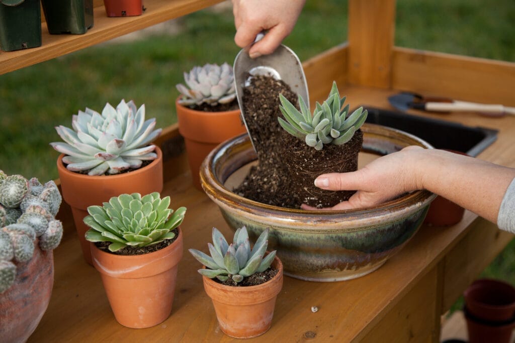 potting bench 4