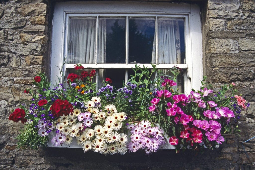 window box 1