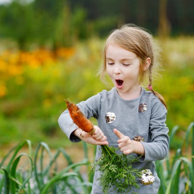 gardening scavenger hunt