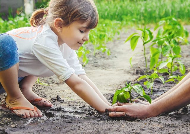 kids planting a garden