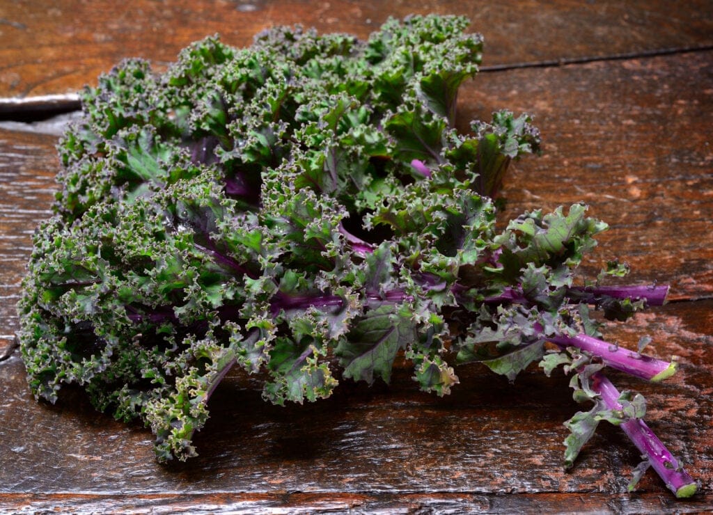 red russian kale