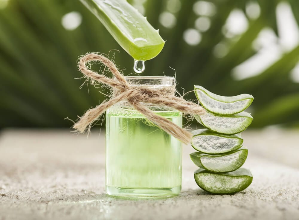 aloe vera uses