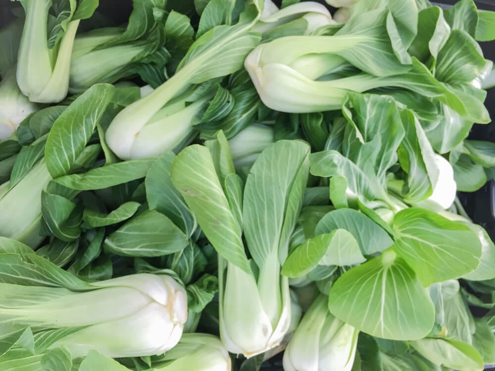 storing bok choy