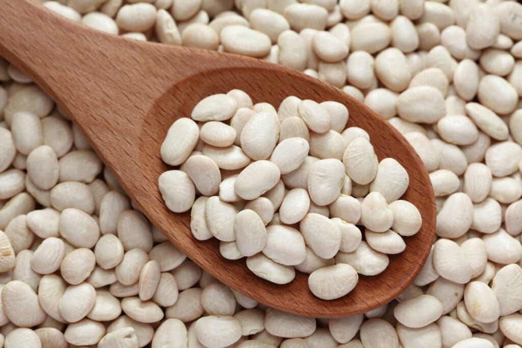 lima bean seeds