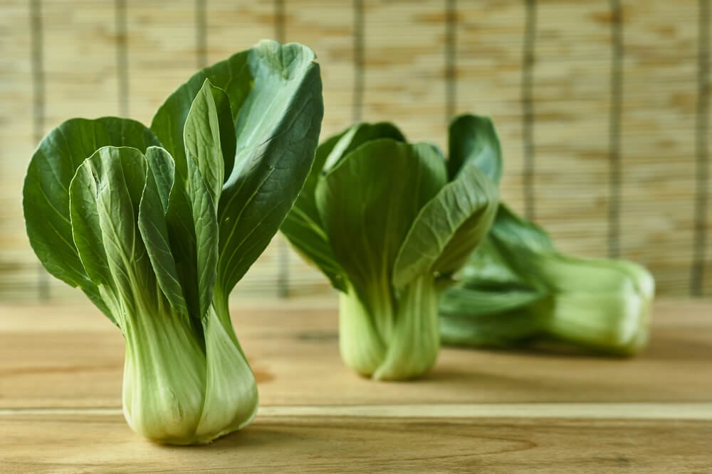shanghai bok choy