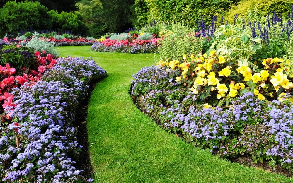 Garden Design