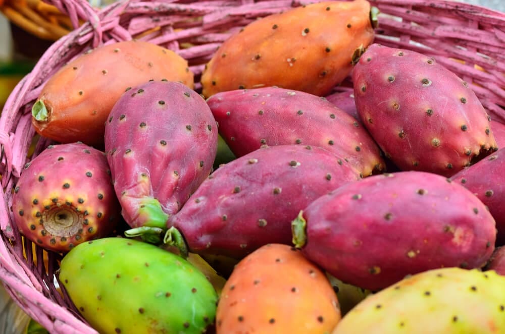 prickly pear storage