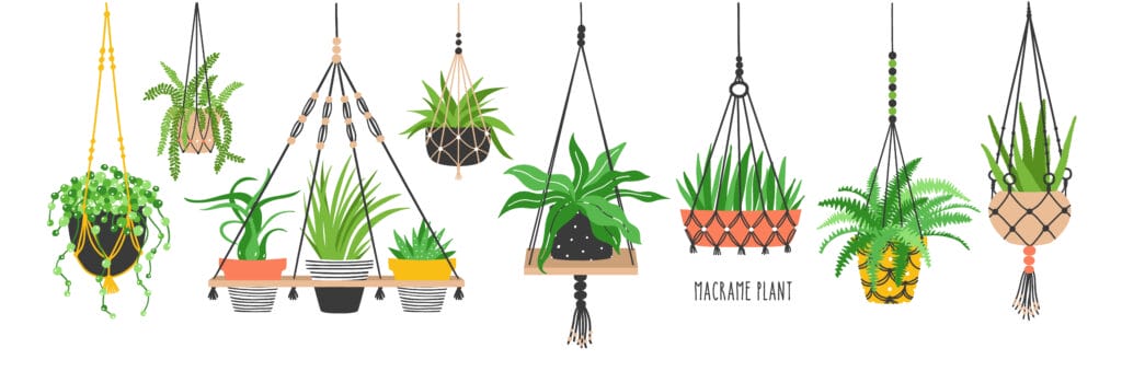 gardening containers