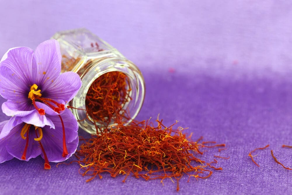 crocus fertilizer
