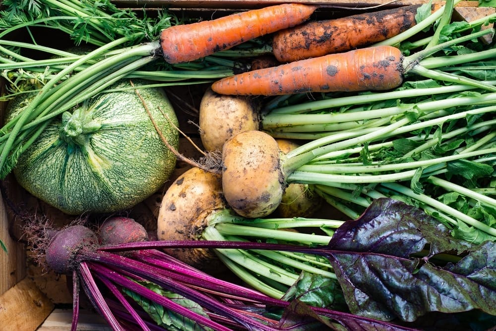 best fall garden vegetables