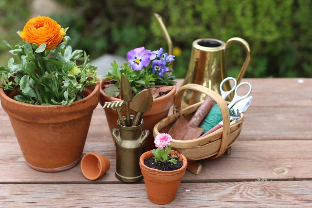 Flower Pots