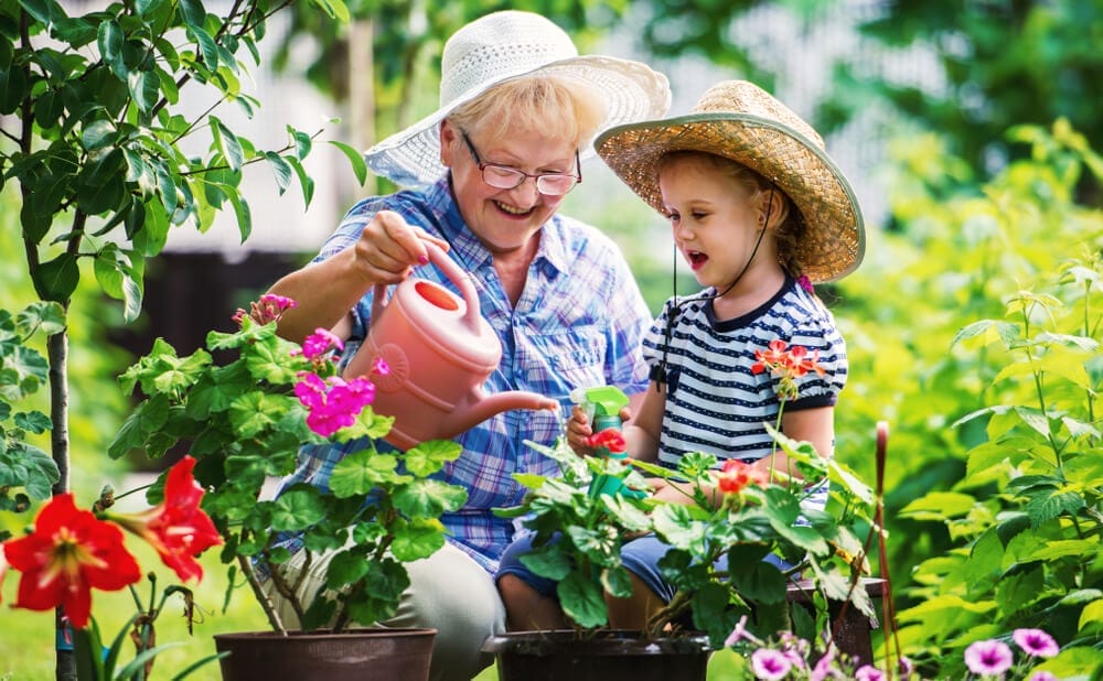 watering garden - Most Common Gardening Mistakes