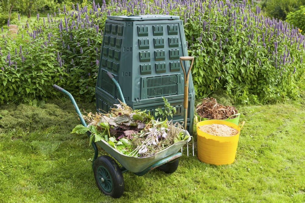 fall garden cleanup