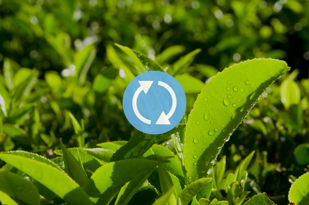 rotating crops