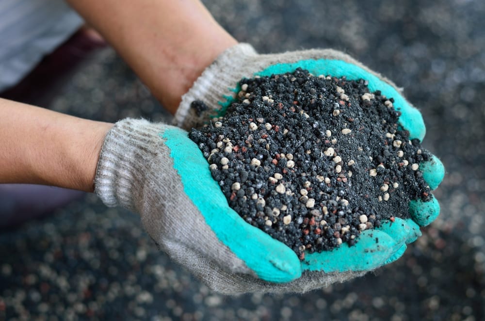best pepper fertilizers