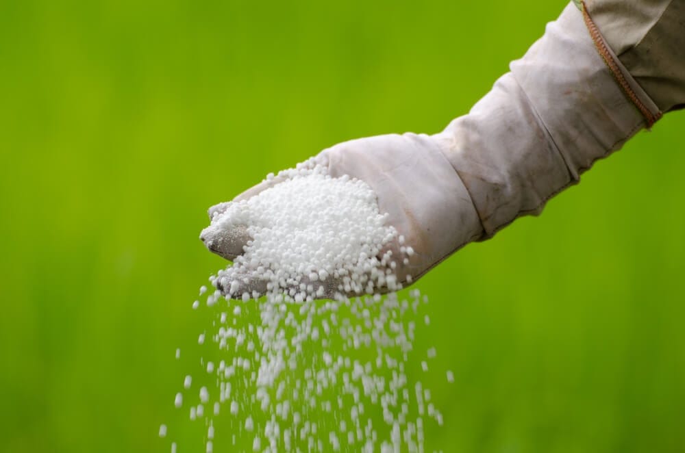 garden fertilizer