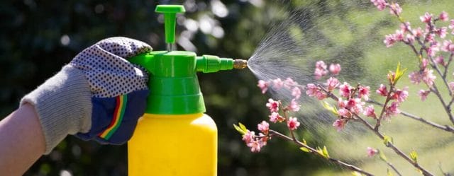 insecticidal soap